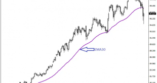 Forex Temel Analiz - Teknik Analiz