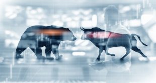 Forex Boğa ve Ayı Piyasası Nedir