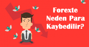Forexte Neden Para Kaybedilir?