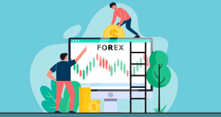 Forex Piyasa Yorumları