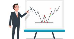 Flama Grafik Modelleri Nelerdir